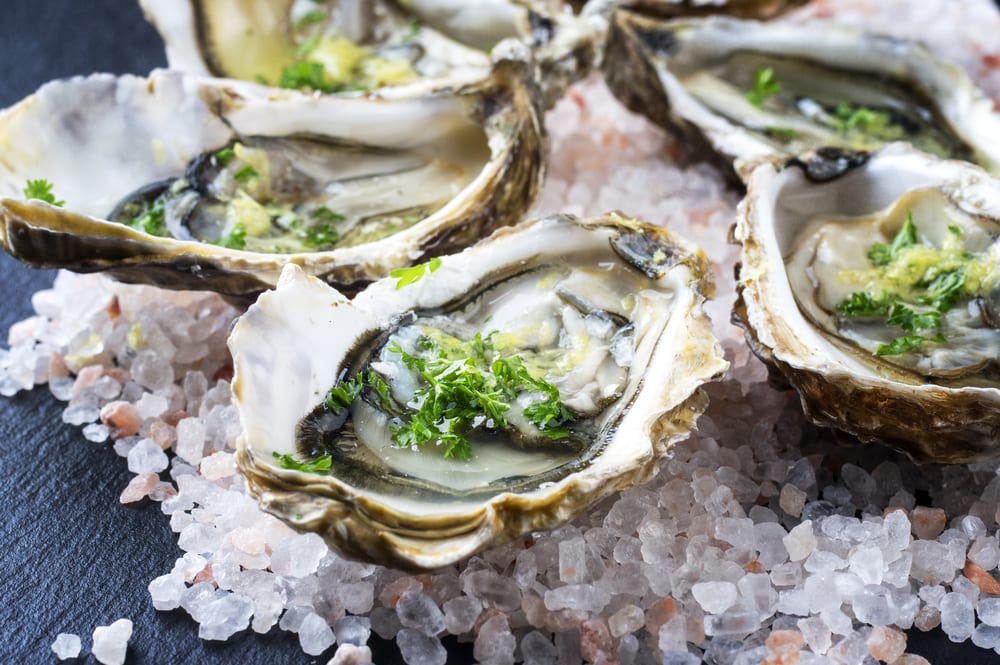 Immune Boosting Foods - Oysters