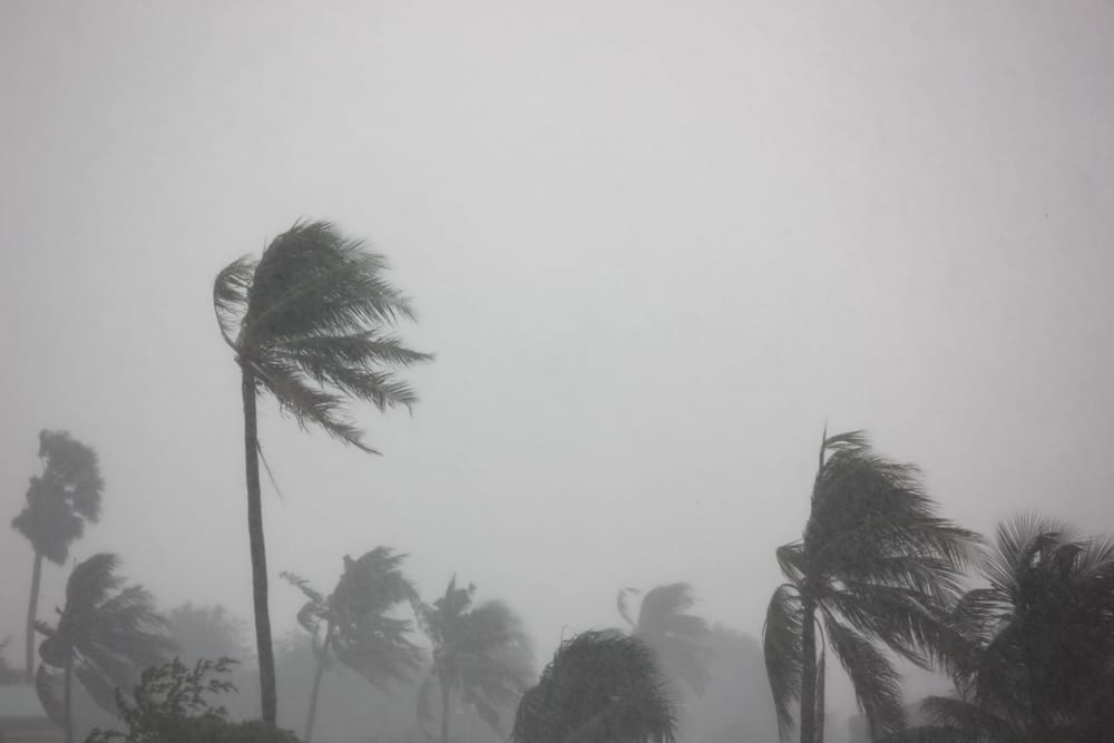 Worst Natural Disasters - Cyclone Nargis