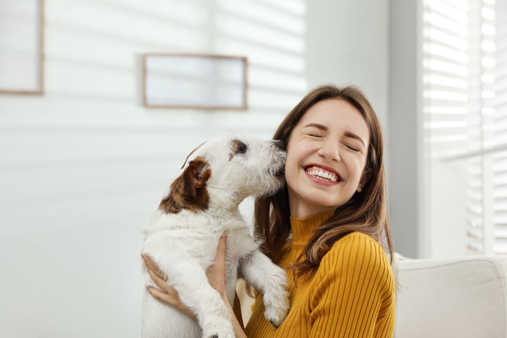 Facts About Dogs - Dogs can smell your feelings