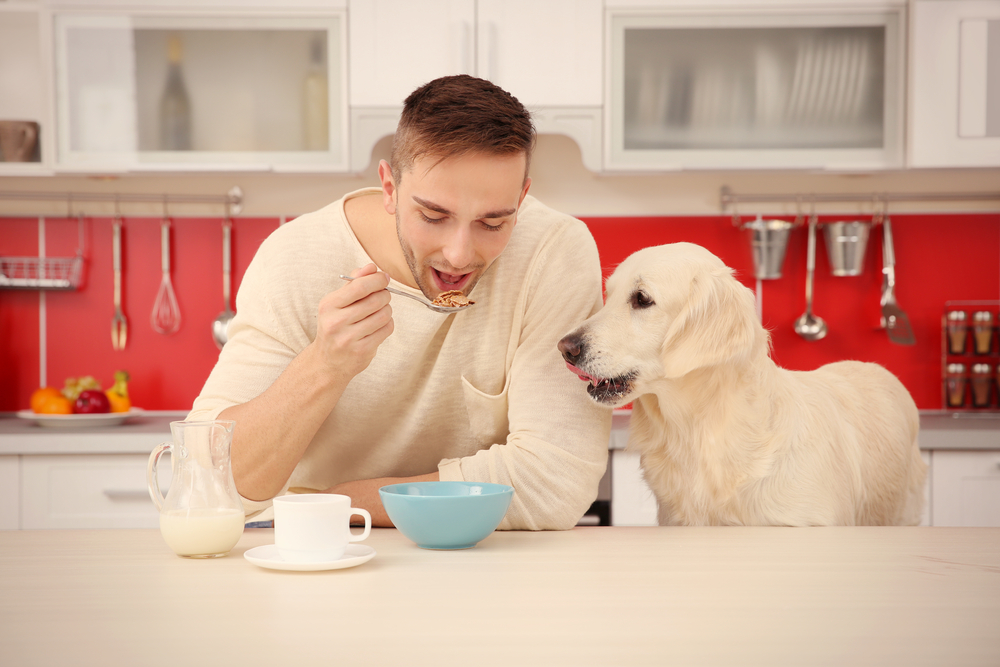 Strangest Jobs - Dog food taster