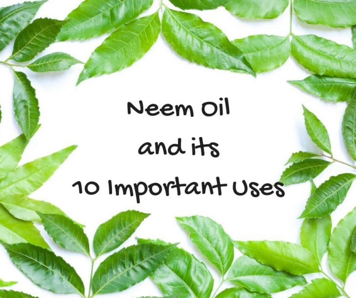 neem oil uses