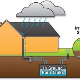 Reasons for Rainwater Harvesting