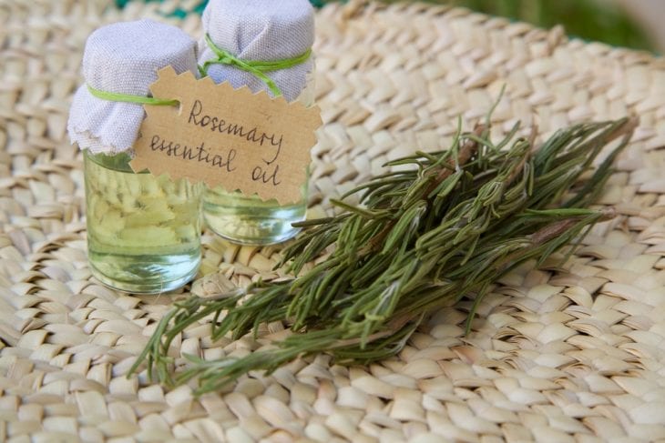 Amazing Benefits of Rosemary